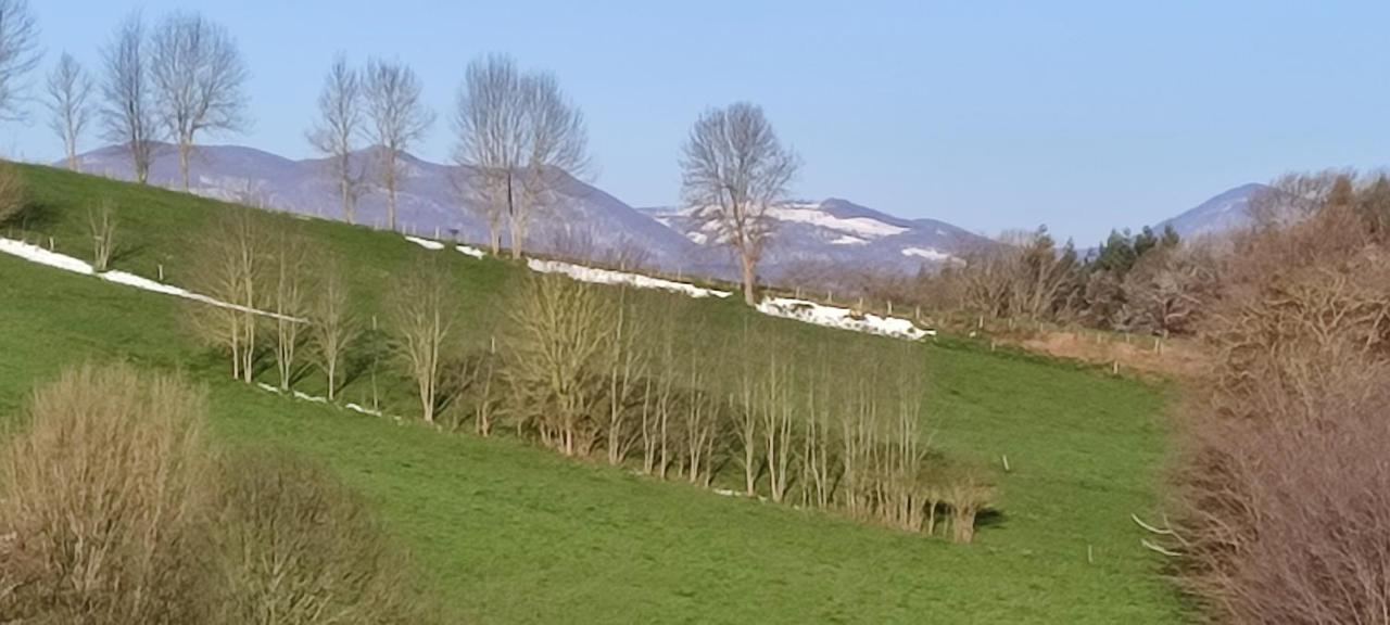 Domaine Le Lanis Chambre D'Hotes Piscine Spa Privatise Sur Reservation Saint-Girons  Luaran gambar