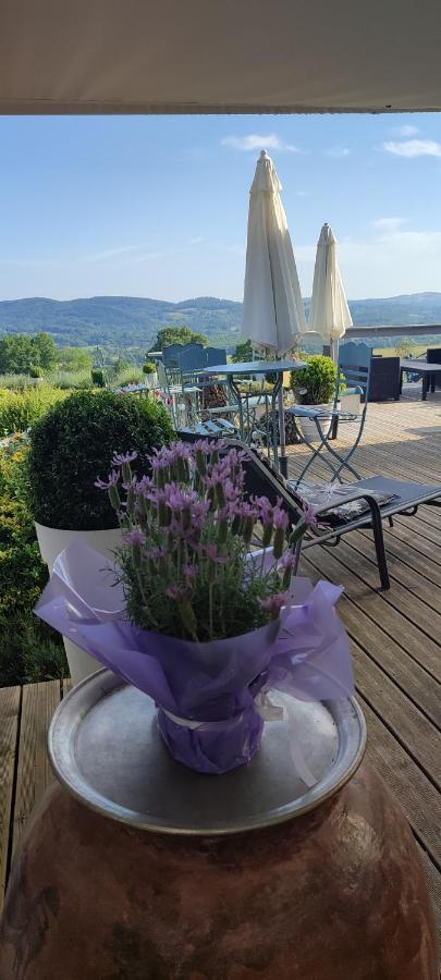 Domaine Le Lanis Chambre D'Hotes Piscine Spa Privatise Sur Reservation Saint-Girons  Luaran gambar