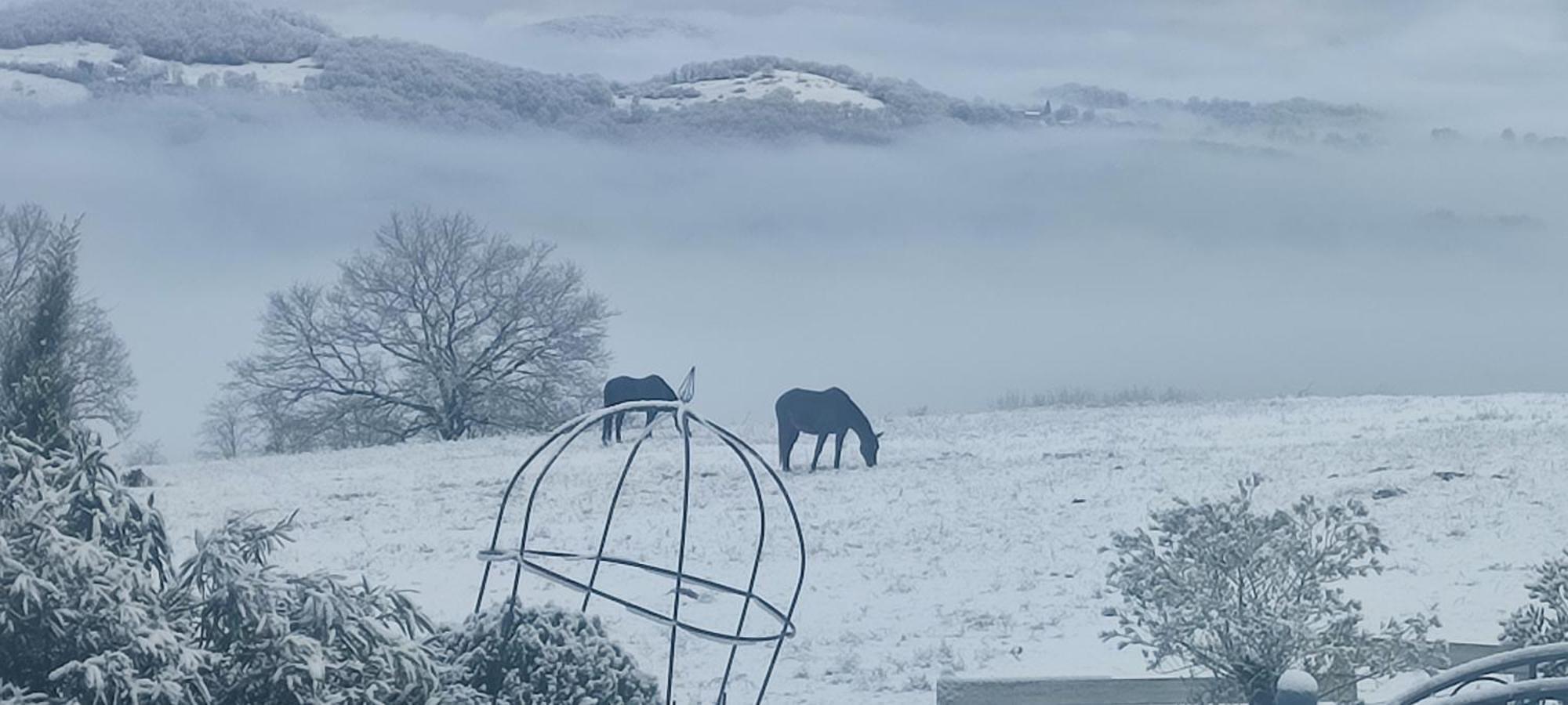 Domaine Le Lanis Chambre D'Hotes Piscine Spa Privatise Sur Reservation Saint-Girons  Luaran gambar
