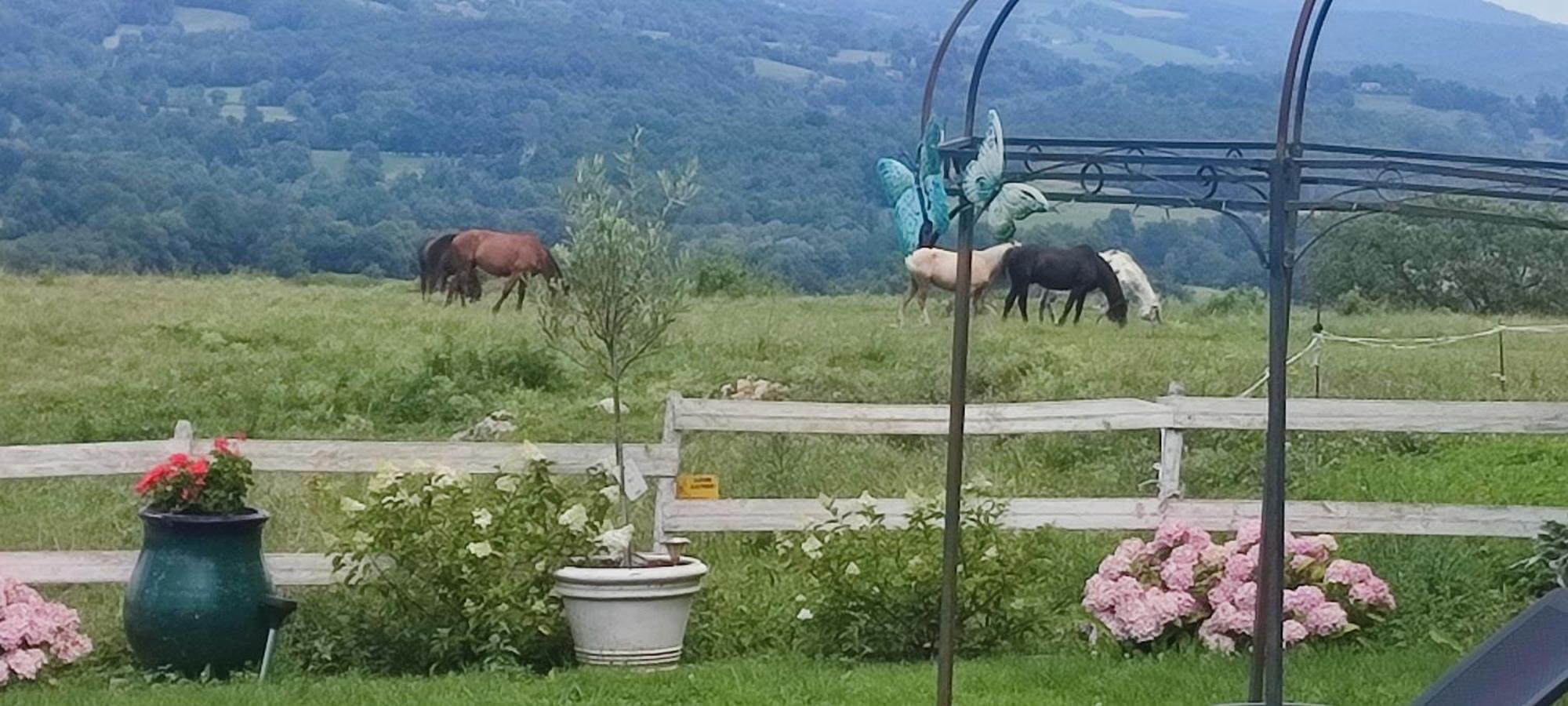 Domaine Le Lanis Chambre D'Hotes Piscine Spa Privatise Sur Reservation Saint-Girons  Luaran gambar
